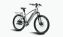 Vélo à assistance électrique Starway Explorer, coloris Gris